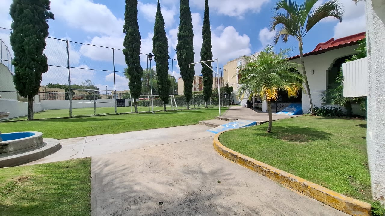 Imagen 23