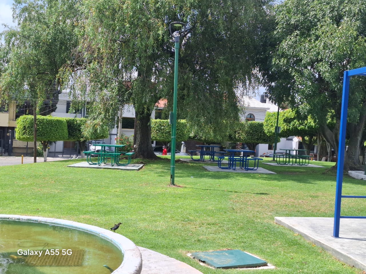 Imagen 62