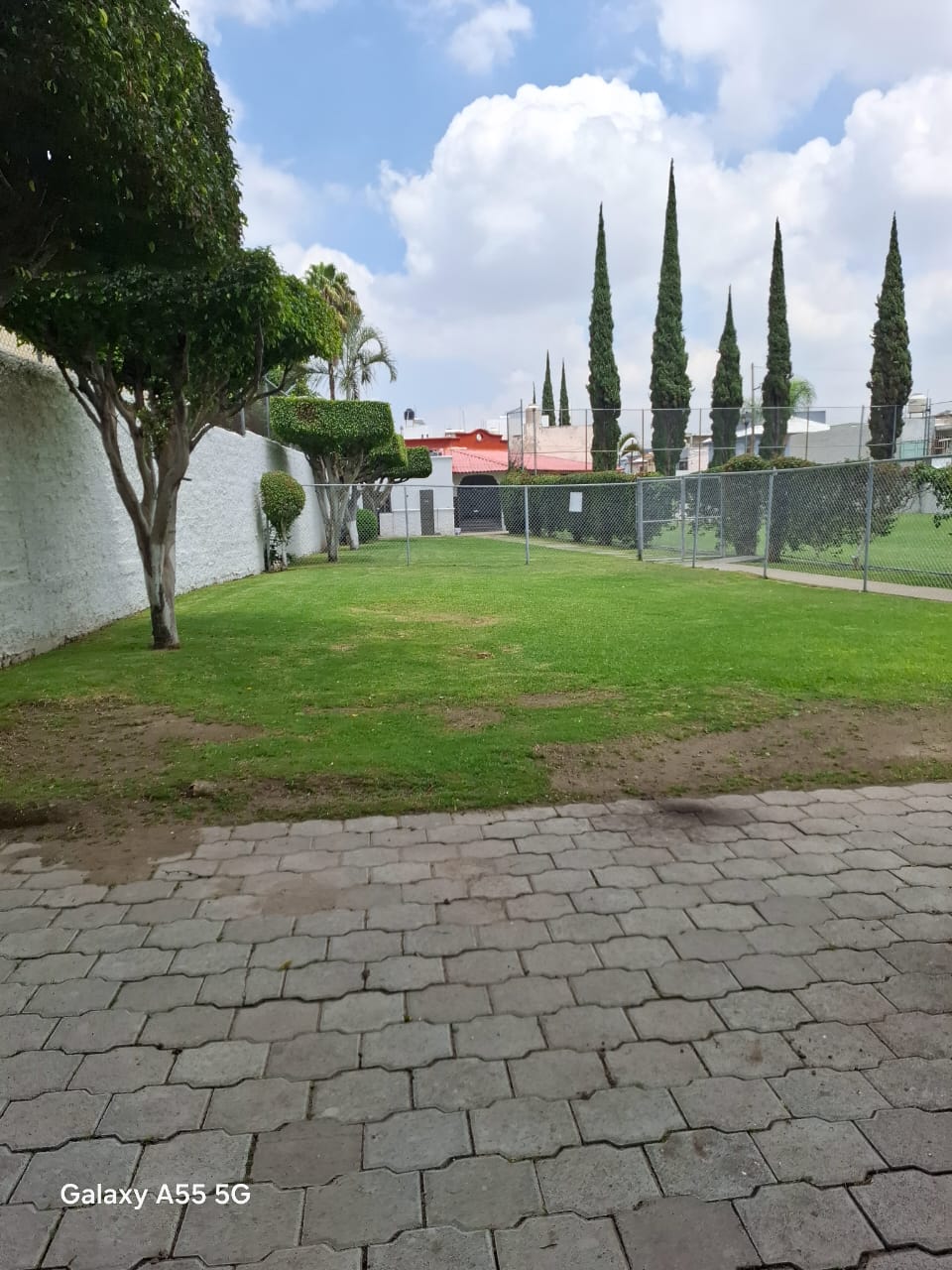 Imagen 13